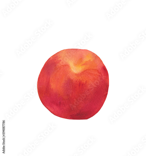 Watercolor orange peach. Juicy fruit on white isolated background.Ingredient for tasty and healthy meals.Design for menus,cards,social networks,prints,packaging,web,ceramics, recipes,decoration.