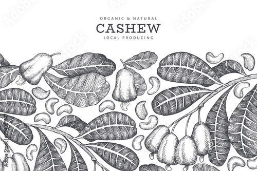 Hand drawn sketch cashew design template. Organic food vector illustration on white background. Vintage nut illustration. Engraved style botanical background.