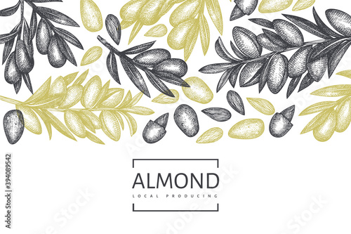 Hand drawn sketch almond design template. Organic food vector illustration. Retro nut illustration. Engraved style botanical background.