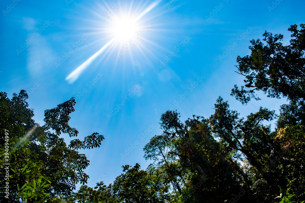 Fototapeta premium cielo despejado, sol de medio dia