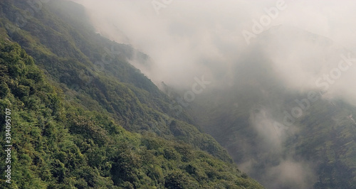 Mountains covered by fog , foggy weather 