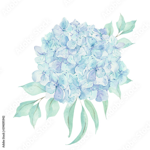 Watercolor bouquet of hydrangea with leaves of eucalyptus. Elements for wedding