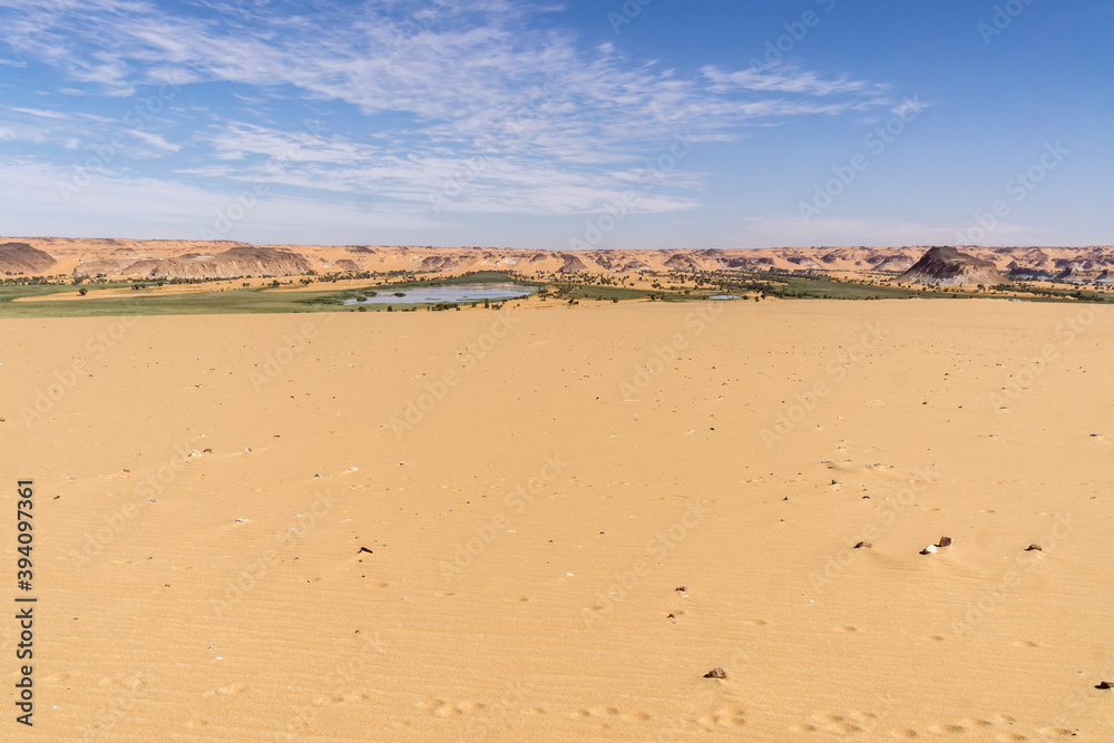 Oasis in the Sahara desert in Chad Oasis in the Sahara desert in Chad