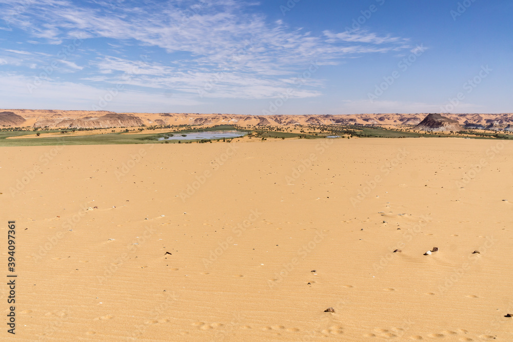 Oasis in the Sahara desert in Chad	