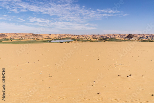 Oasis in the Sahara desert in Chad 
