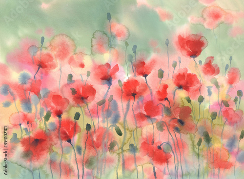 Sunny and red poppy field watercolor background