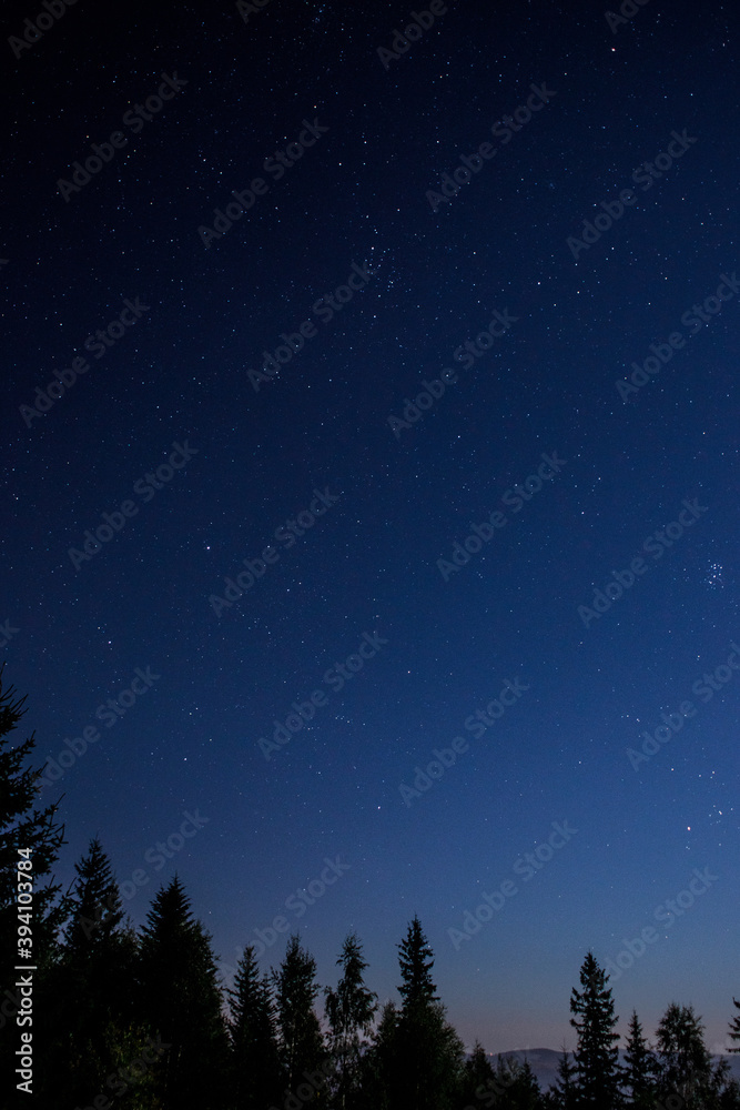 Fototapeta premium Night sky over the mountains