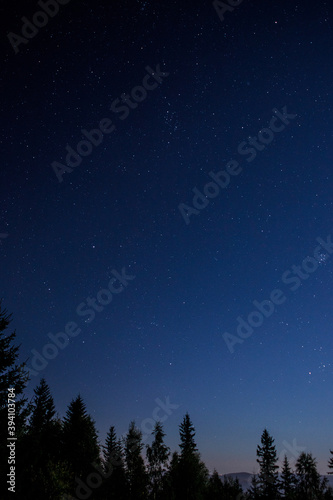Night sky over the mountains © Ihor