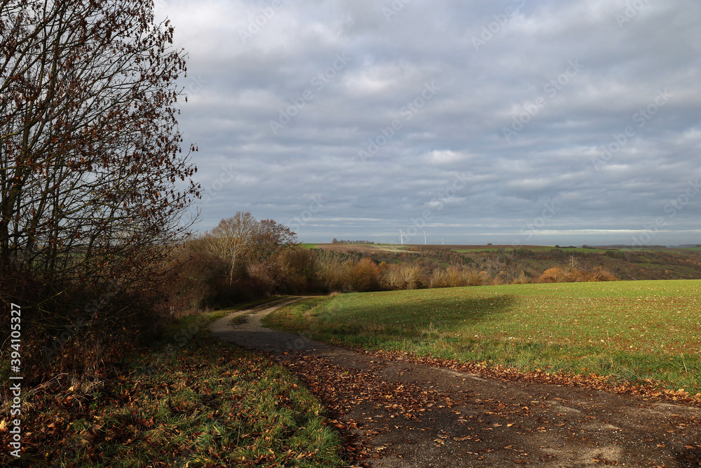 Naklejka premium Autumn landscape with a green field and road