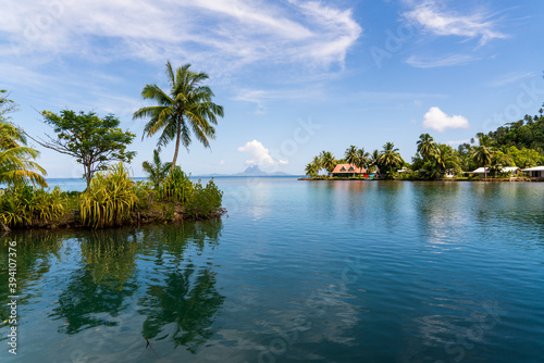 tropical island with palm trees in tahaa french polynesia 
