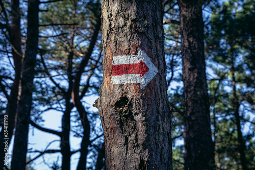 Painted symbol of a tourist trail on Sarbsko Spit landscape park on the Baltic Sea coast in Poland