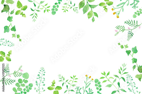 グリーンの草花の囲みフレーム 水彩イラストのトレースベクター。レイアウト変更可能。
