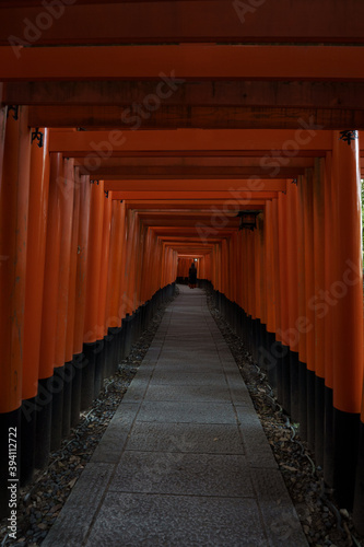 Fushimi Inari Taisha Kyoto no edit