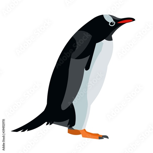Adele penguin going in profile