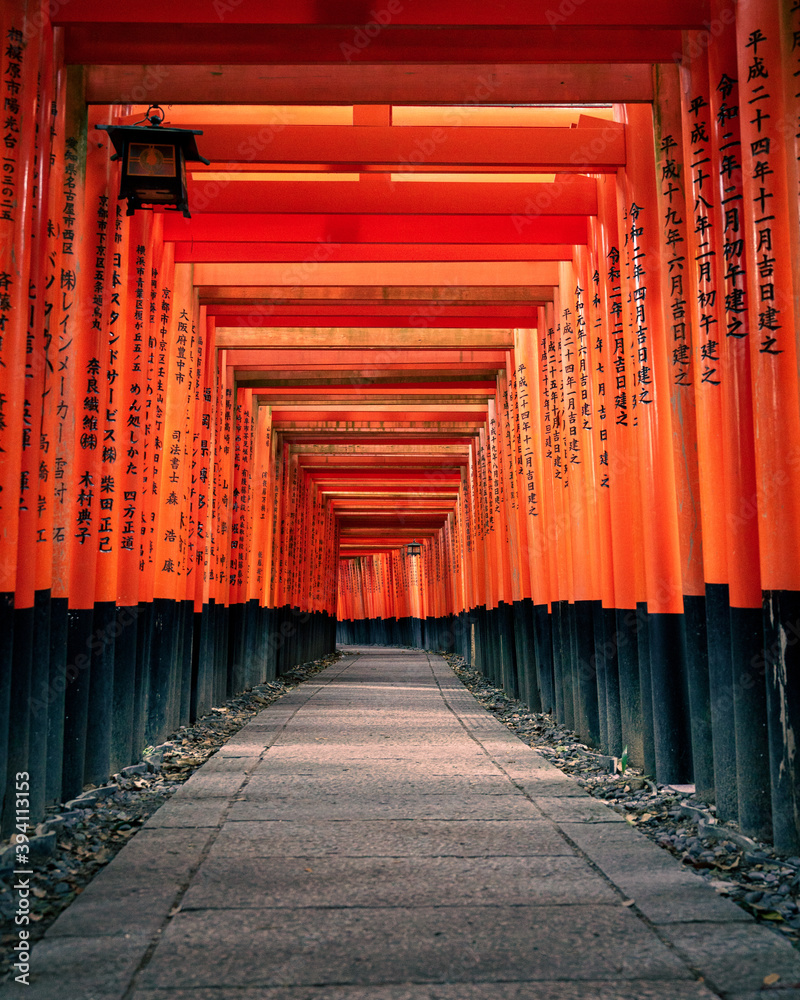 Fototapeta premium Fushimi Inari Taisha empty