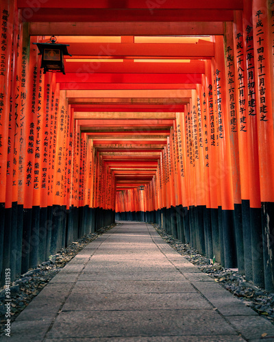 Fushimi Inari Taisha empty