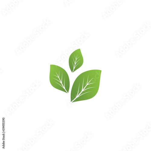 Leaf ecology Logo Template vector