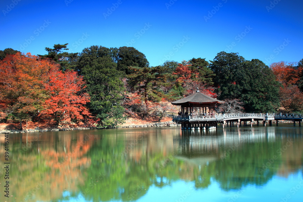 世界遺産 奈良 浮見堂の紅葉 世界遺産 奈良 浮見堂の紅葉