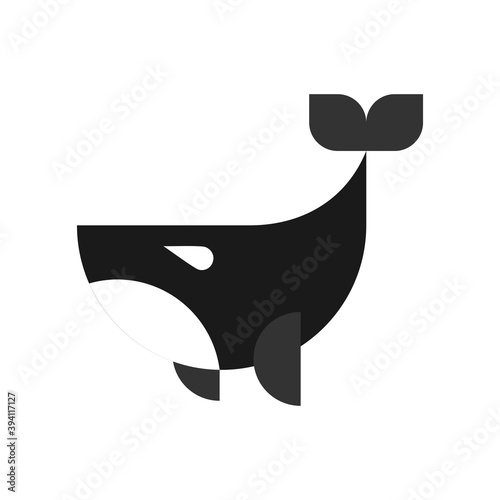 orca flat vector illustration template