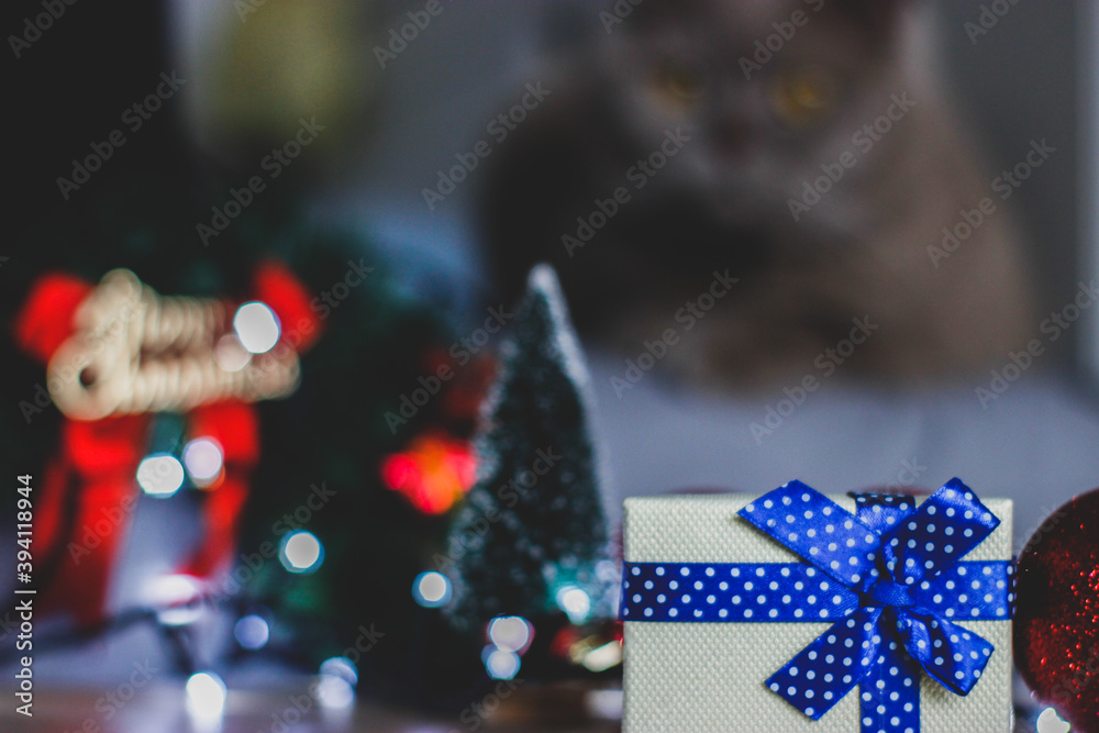 Obraz premium christmas tree decorations with cat