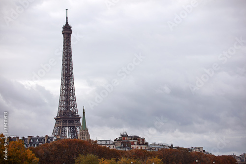 Eiffel tower with autumn leafs  Paris  France.