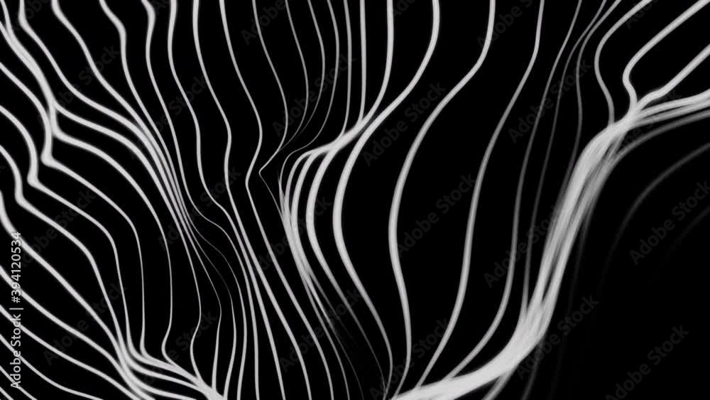 black and white dot design black and white dot design