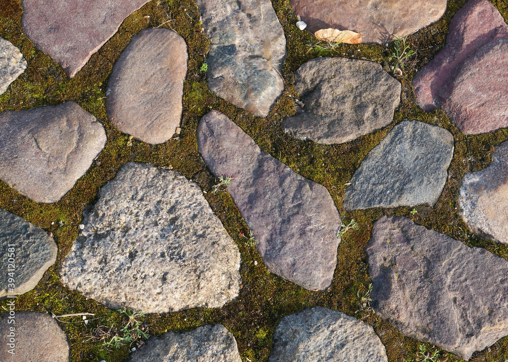 Fototapeta premium Stone and moss texture or background. Multicolored granite cobblestones of irregular shape. Close up top view of an old paved sidewalk in soft evening light