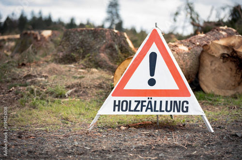 Warnschild mit Aufschrift "Holzfällung" vor gerodeten Baumstämmen im Hintergrund als symbolische Warnung für das Waldsterben durch den Klimawandel
