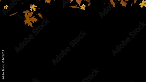 Autumn Leave Transition Animation with PNG Alpha Background.
