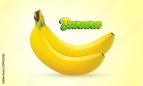Two banana fruit isolated on bright yellow background. Realistic vector illustration.