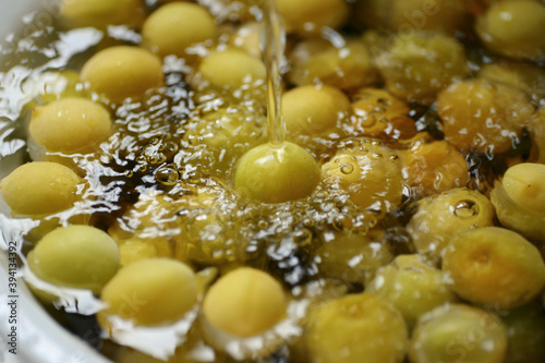 Fresh plums in the water, The process of making Japanese plum wine. photo