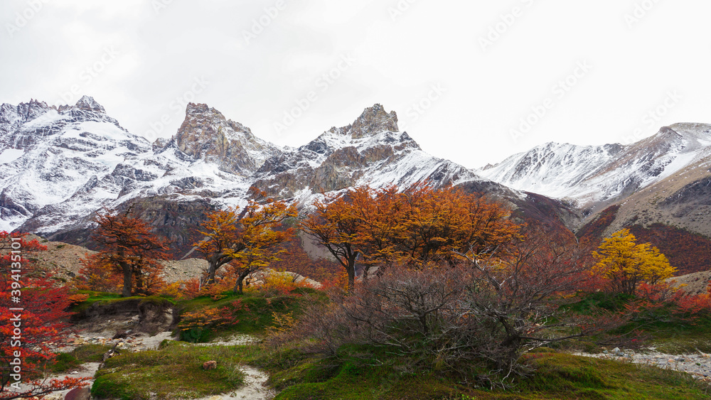 Fototapeta premium Fall in Patagonia