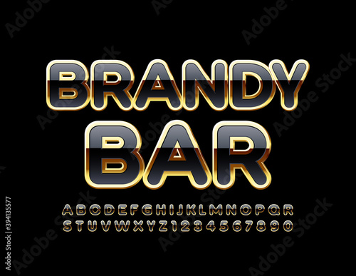 Vector chic logo Brandy Bar. Luxury Alphabet Letters and Numbers. Black and Gold stylish Font. 