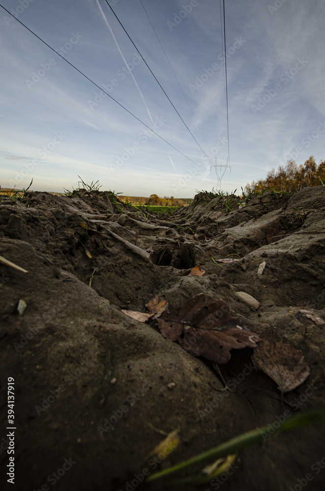 Fototapeta premium close-up of a plowed cold autumn field