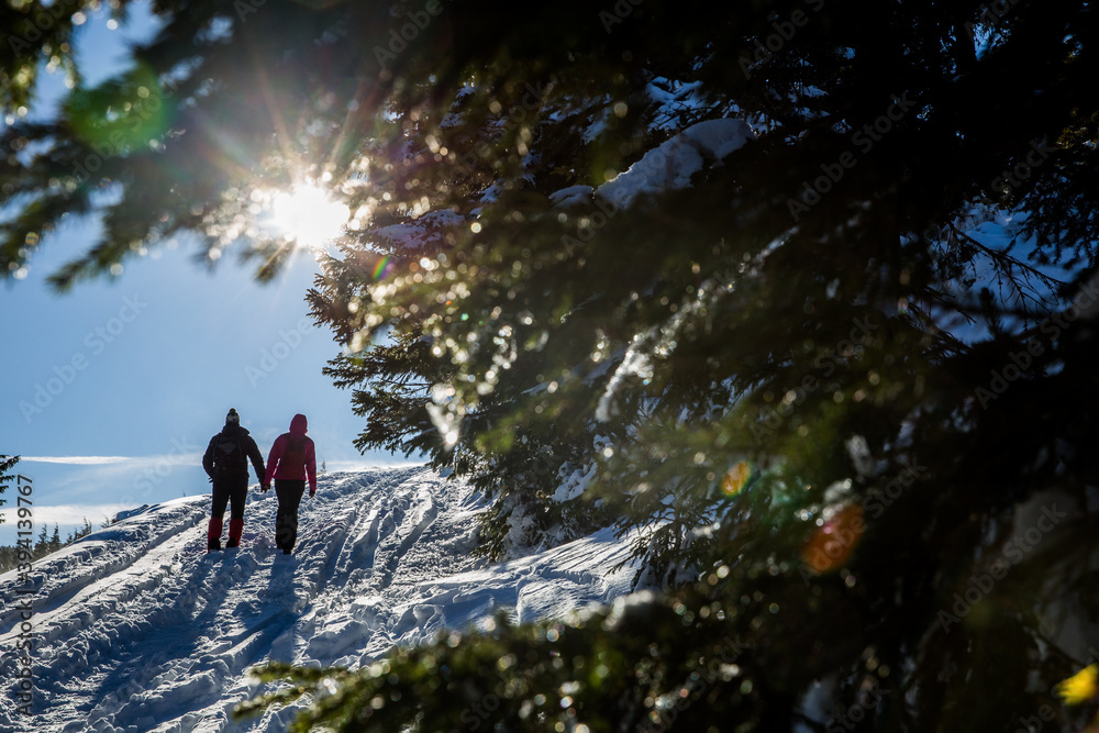 Obraz premium Wanderlust and holiday concept. couple travelling in wintertime. 
