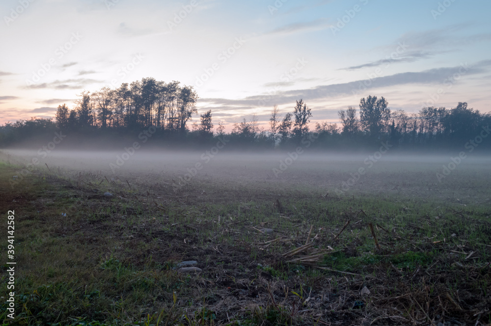 Mist on an agricultural field at dusk in the Po Valley, Northern Italy