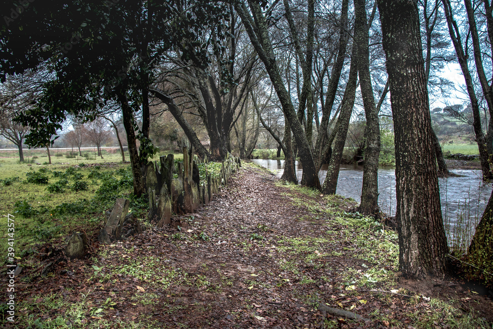 Small walk along a river