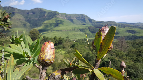 Scenery around Natal Drakensberg National Park photo