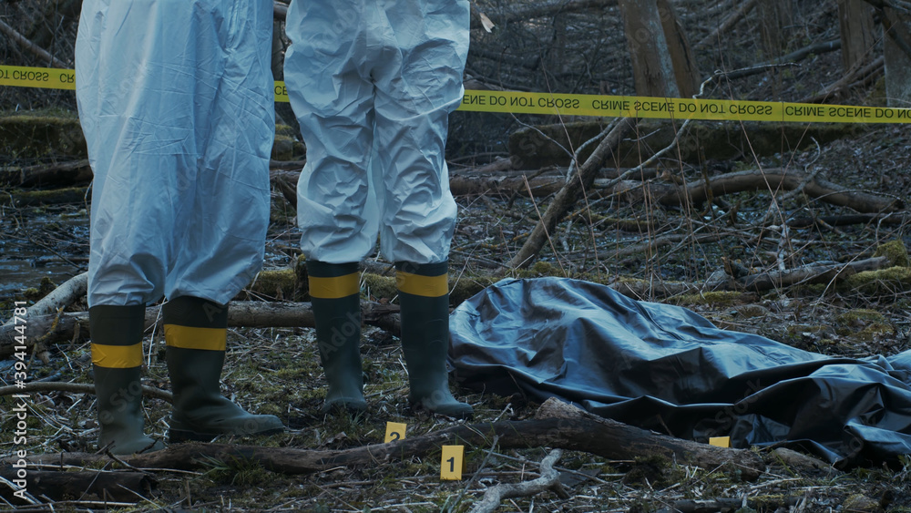 Detectives are collecting evidence in a crime scene. Forensic specialists are making expertise. Police investigation in a forest. Detectives are collecting evidence in a crime scene. Forensic specialists are making expertise. Police investigation in a forest.