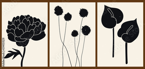 A set of three abstract minimalist aesthetic floral illustrations. Black silhouettes of plants on a light background. Modern monochrome vector posters for social media, web design in vintage style.
