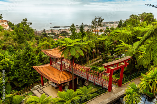 A view down to the sea from the tropical garden above the city of Funchal Madeira