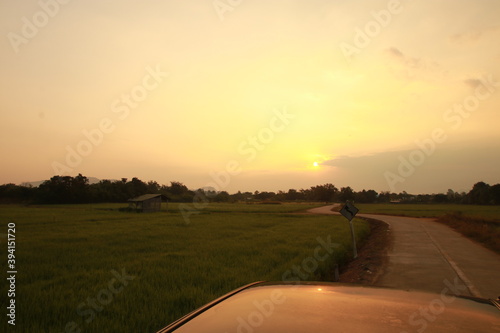 Sunrice on the road  in the rice field photo