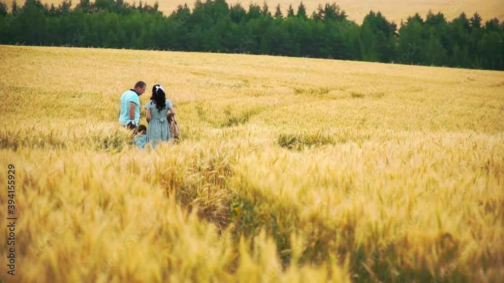 Family with two children are walking through the yellow field. Mother and father with son and daughter are moving through the high grass. Theme of parenthood and outdoors leisure. Family with two children are walking through the yellow field. Mother and father with son and daughter are moving through the high grass. Theme of parenthood and outdoors leisure.