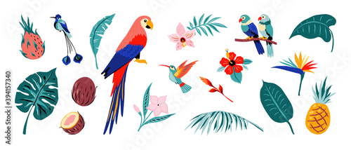 Tropical poster. Jungle flora and fauna. Exotic flowers and fruits, palm or monstera leaves, colorful parrots and hummingbirds. Isolated collection of rainforests plants or birds. Vector nature set