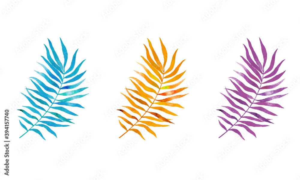 Three tropical leaves isolated on white background, blue, yellow, purple Three tropical leaves isolated on white background, blue, yellow, purple