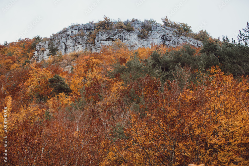 Fototapeta premium Paysage d'automne sud de la France