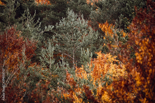 Paysage d'automne sud de la France © Aurélien Benard
