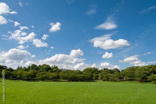 草原と青空と雲