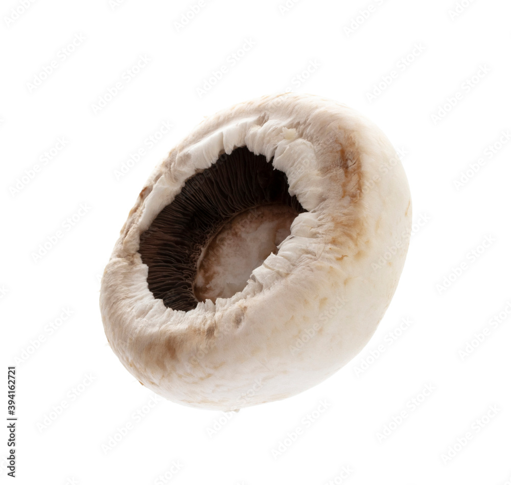 Fototapeta premium champignon isolated on a white background.