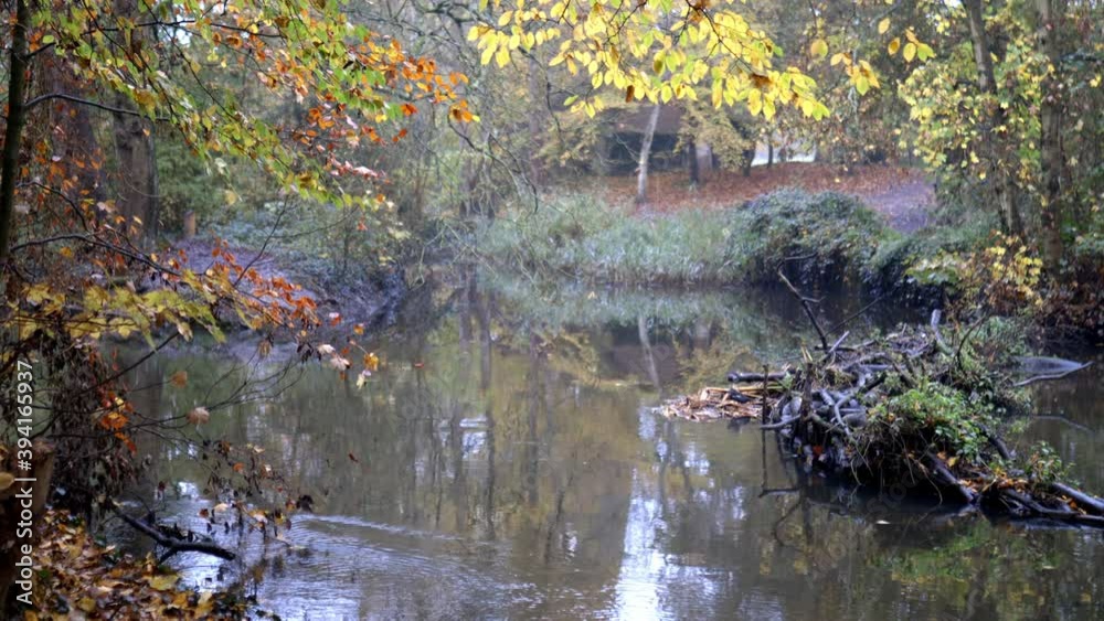 Beautiful and peaceful flowing river surrounded by trees and plants Beautiful and peaceful flowing river surrounded by trees and plants